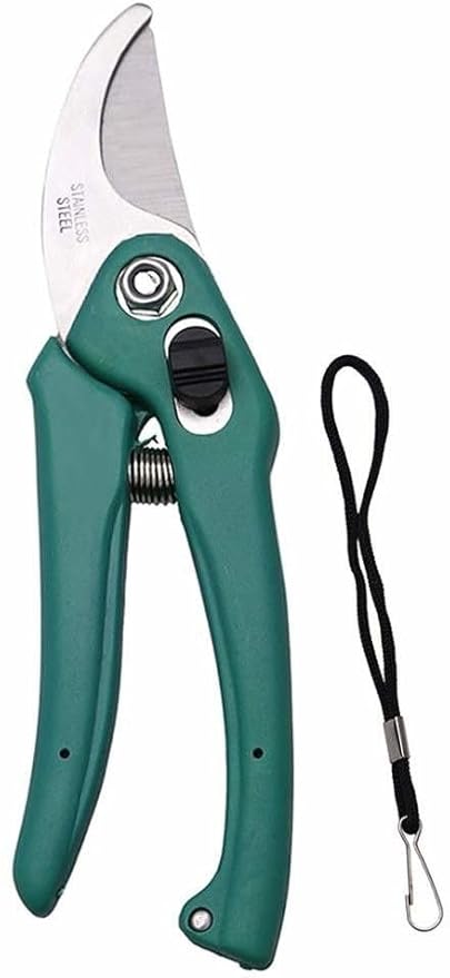 Green Snap Professional Garden Shears, Bypass Secateurs with Stainless Steel Blade, Bird's Beak Style, Multicolor, 200 grams, 20x8.2 cm- Multicolor will be sent