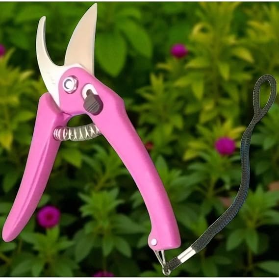 Green Snap Garden Shears, Bird's Beak Shape, Multicolor, 200 grams, 27x8.9 cm, Stainless Steel Blade, Straight Edge- Multicolor