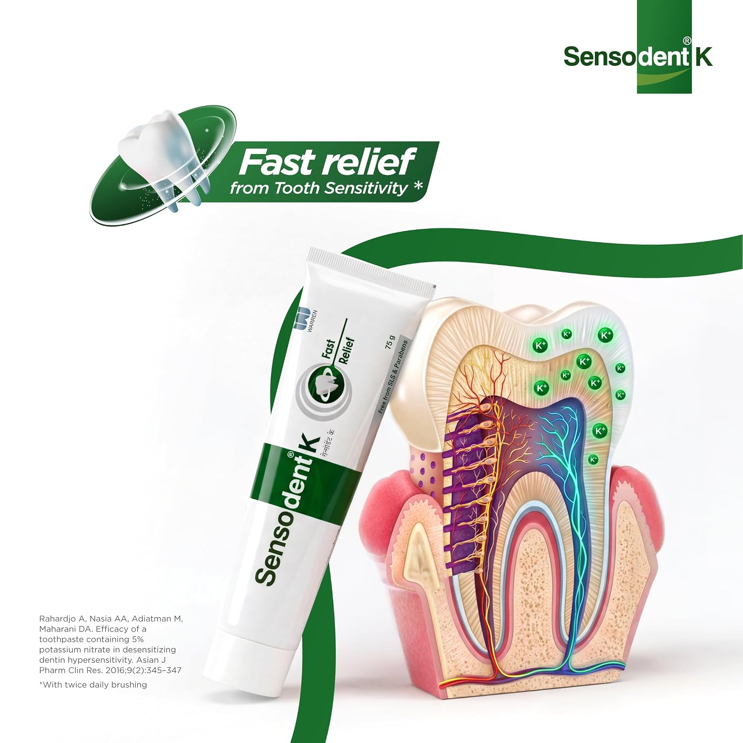 Toothpaste for Sensitive Teeth - Instant Relief & Long-Lasting Protection, Dentist Recommended, SLS & Paraben Free - 75g x Pack of 1