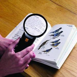 Big SIZE ILLUMINATED MAGNIFYING GLASS - Highly recommended
