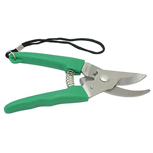 Heavy Gardening Scissor for Potted Plants - Must in Your Home