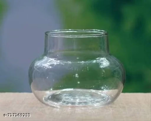 ArthaRupa Glass Vase for Bamboo Plant, Money Plant, Flower Vase or Other Decoration Purpose (Pack of 2) Plants are not included