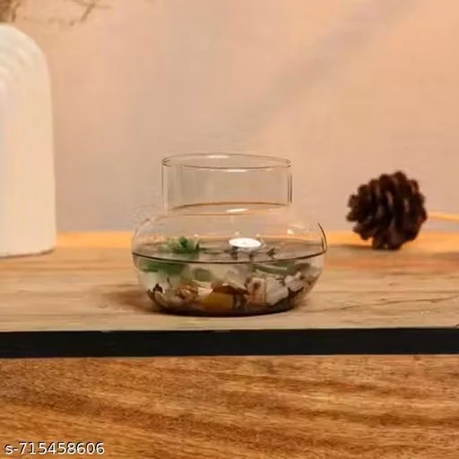 ArthaRupa Glass Vase for Bamboo Plant, Money Plant, Flower Vase or Other Decoration Purpose (Pack of 2) Plants not included
