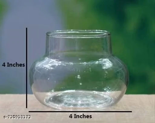 OURVIC Glass Vase for Bamboo Plant, Money Plant, Flower Vase or Other Decoration Purpose (Pack of 2) Plants ate not included