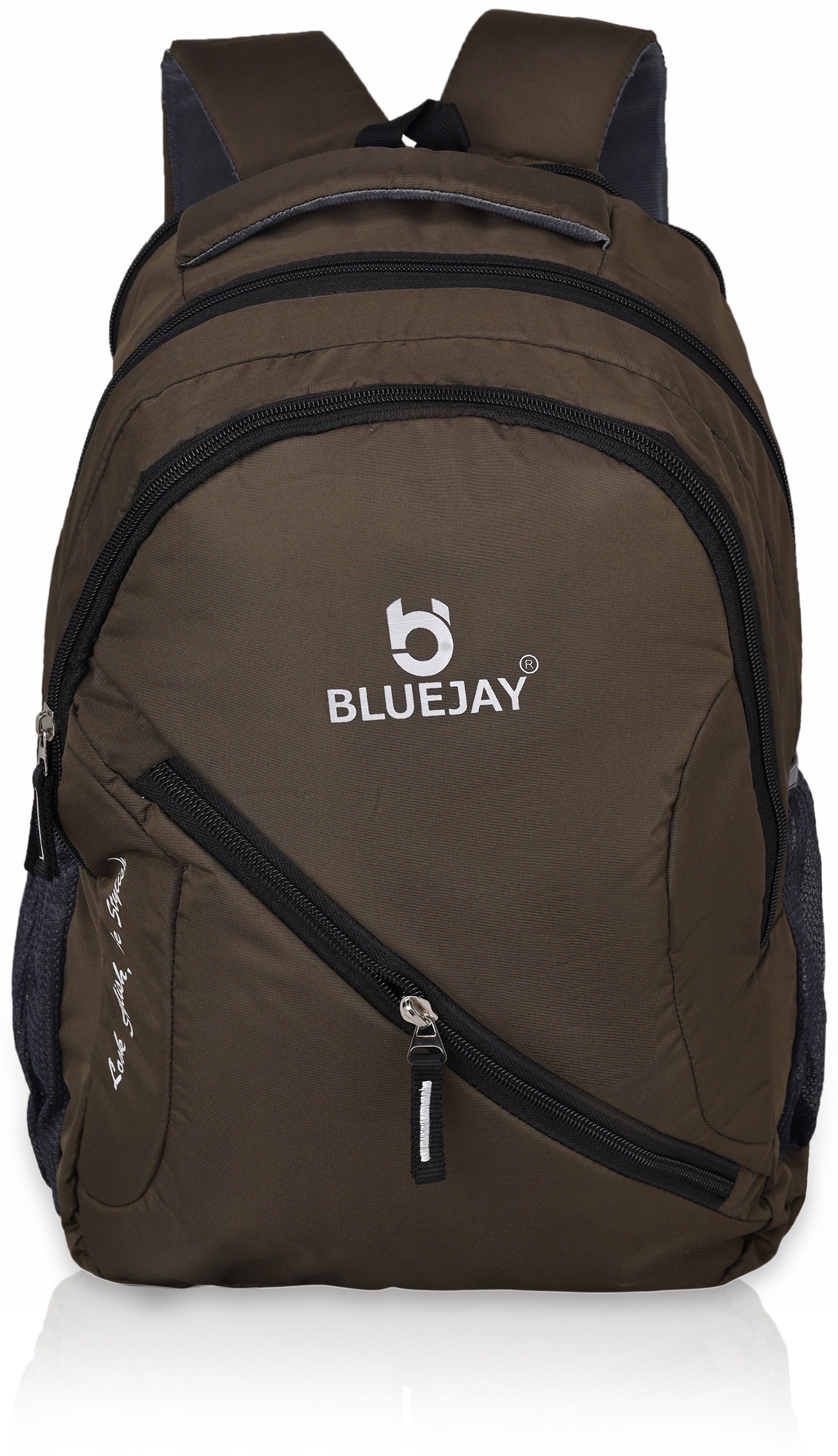 Brown_LaptopBag_1002