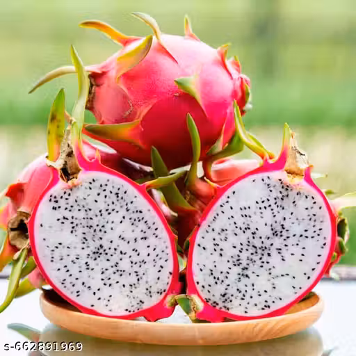 Red Dra Gaon Fruit Plant
