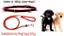 Nylon Dog Belt Combo of Black Ghungroo Collar with 1.5m Lengthy Dog Collar & Leash