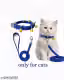 nylon cat ghungroo collar and leash set blue colour