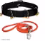 Dog Leashes