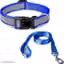 Blue Dog Belt With Reflecting Coller