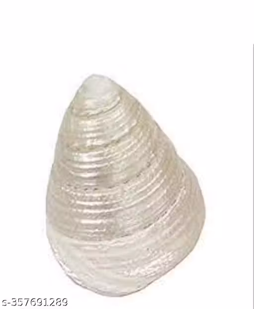 100% natural pearl shankh/ shree yantra for laxmi puja goodluck , size 1.5 inch