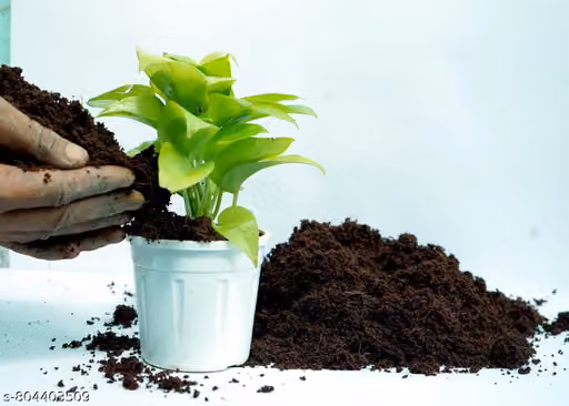 Neem Khali Khad 5 Kg | 100% Natural Neem Cake Organic Fertilizer & Manure for Plants, Trees, Vegetables & Flowers | Soil Conditioner Plant Growth Booster for Home Garden & Pots
