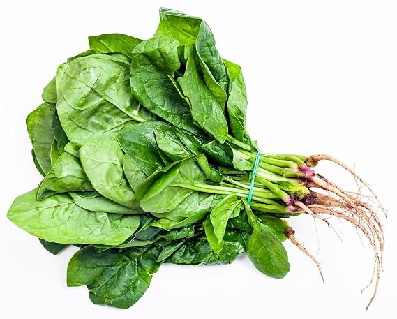 Green Snap Organic Desi Palak Seeds for Home Garden | High Germination Spinach Seeds | Easy to Grow | Non-GMO | Kitchen Balcony Gardening | Fast-Growing Greens- 30 to 40 seeds