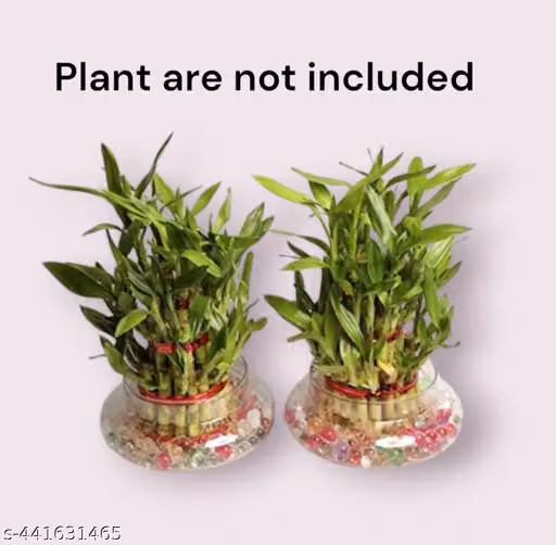 ArthaRupa Glass Bowl for Bamboo Plant, Money Plant, Flower Vase or Other Decoration Purpose (Pack of 2) Plants not included