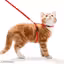 Adjustable Red Nylon Cat Harness with Leash – Escape-Proof, Lightweight, and Comfortable for Cats & Kittens