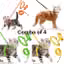 Orange, Black, Green and Yellow Cat Harness Combo – Pack of 4 | Adjustable, Soft & Secure for Cats, Kittens, Rabbits, and Small Puppies