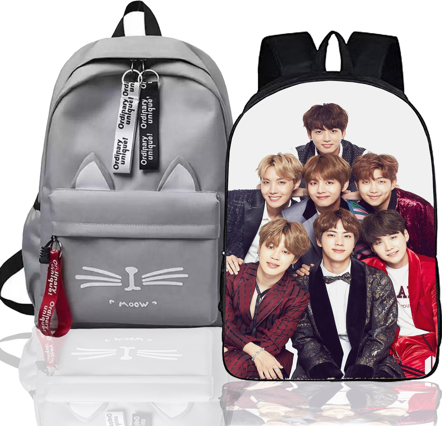 Ruok Medium 21 L Laptop Backpack BTS_MODEL_1 (Multicolor)