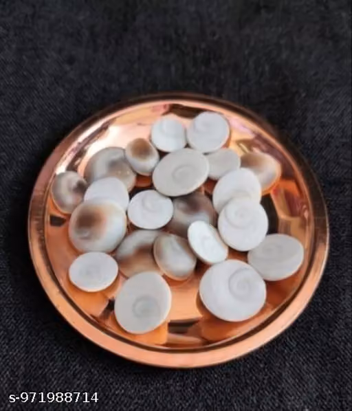 KARYSIDDHI GOMTI CHAKRA 51pcs