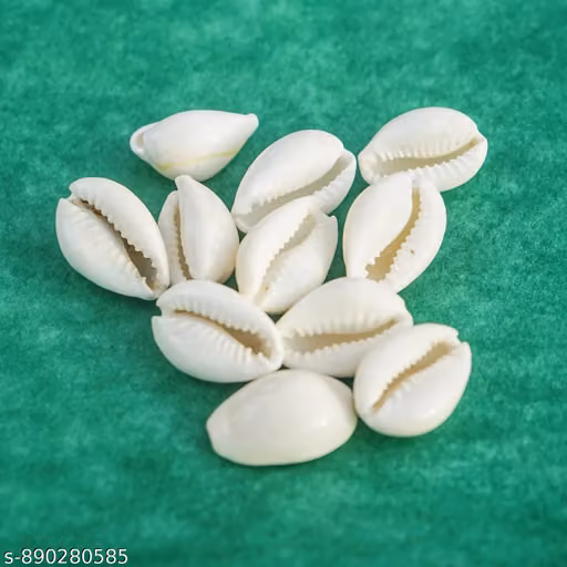 21 White Cowrie Shells (Safed Kaudi) for Pooja, Vastu, Lakshmi Puja & Spiritual Rituals