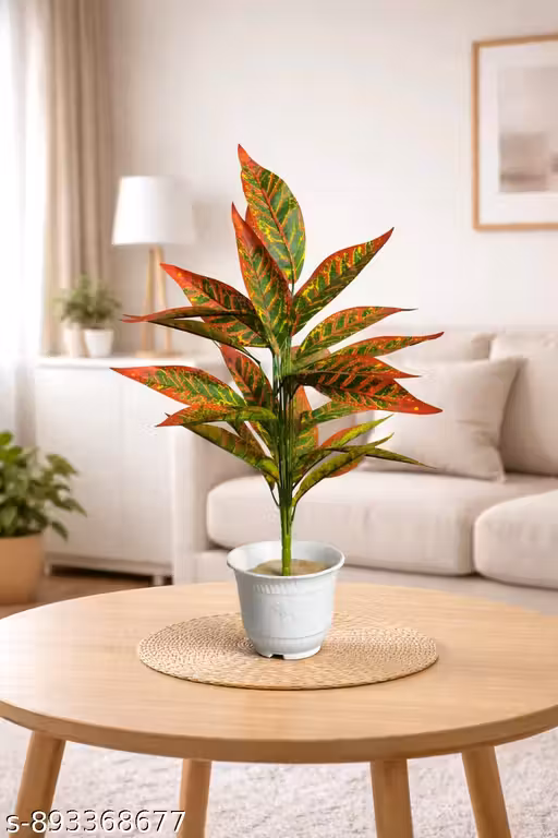 Croton Plant (Codiaeum Variegatum) in White Decorative Pot – Colorful Indoor Tropical Houseplant with Red, Green & Yellow Leaves – Home & Office Décor Plant