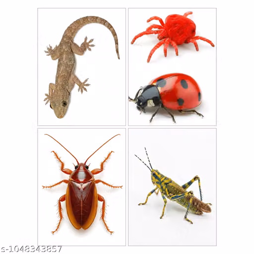 Realistic Insect Stickers | Prank Lizard Wall Decal | Waterproof 9x12 Sheet- (pack of 4)