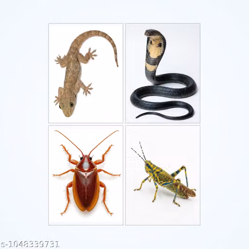 Animal & Insect Sticker Sheet 12x9 Inch Waterproof Gecko Cobra Cockroach Grasshopper Wall Stickers- (Pack of 4)