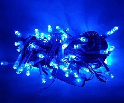 Blue Plastic Rice Lights 10 Meter Serial Bulb Ladi