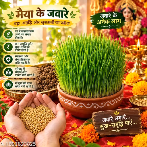 Apoorva Pooja Jau 500g Havan Samagri