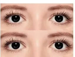 BADSHI96 BLACK EYE CONTECT LENS WITH FREE CASE PACK OF 01