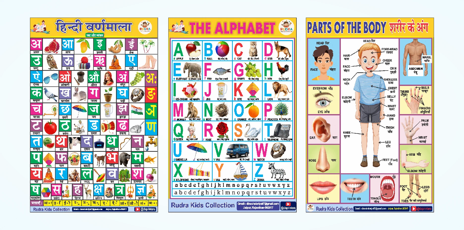 ABCD Chart | Easy Learning Educational Wall Stickers (Set of 3) - Hindi Varnamala, English Alphabets & Parts of the Body | 12x18 Inch Learning Posters for Nursery & Kids Room Vinyl (18 inch X 12 inch, Rolled)