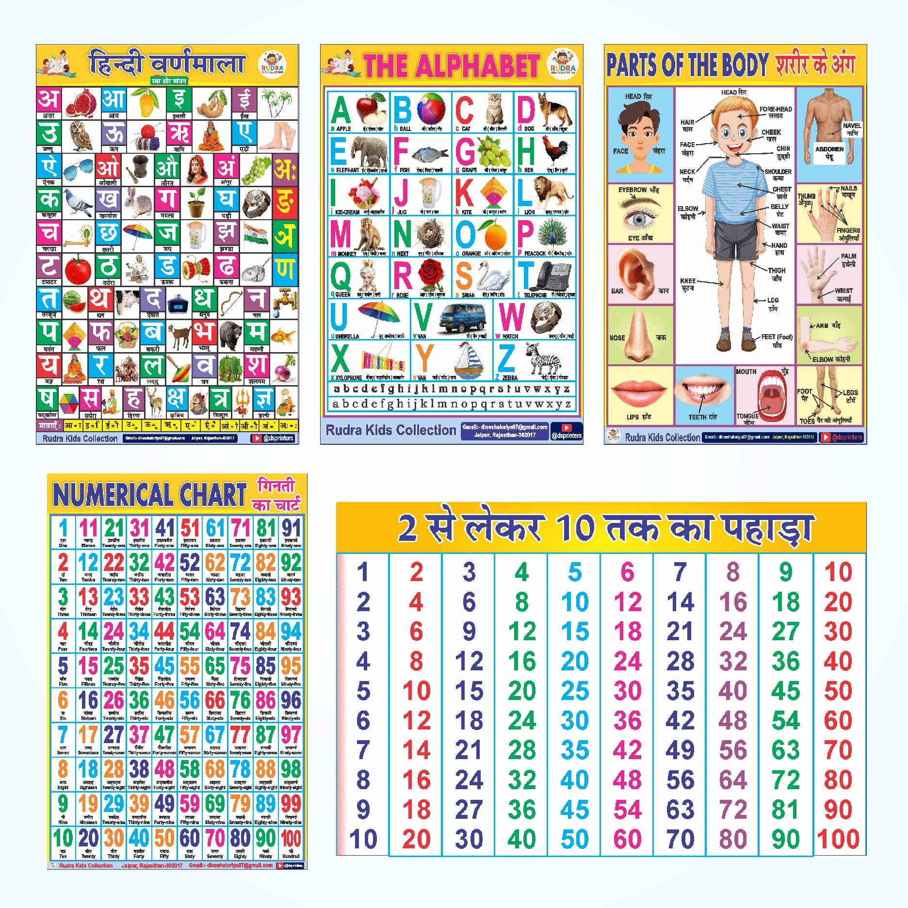 ABCD Chart | Easy learning Waterproof Educational Wall Sticker Charts (Combo Set) - Hindi Varnamala, English Alphabets, 1-100 Numbers, Multiplication Tables & Parts of Body | 12x18 Inch Learning Posters for Kids Vinyl (18 inch X 12 inch, Rolled)