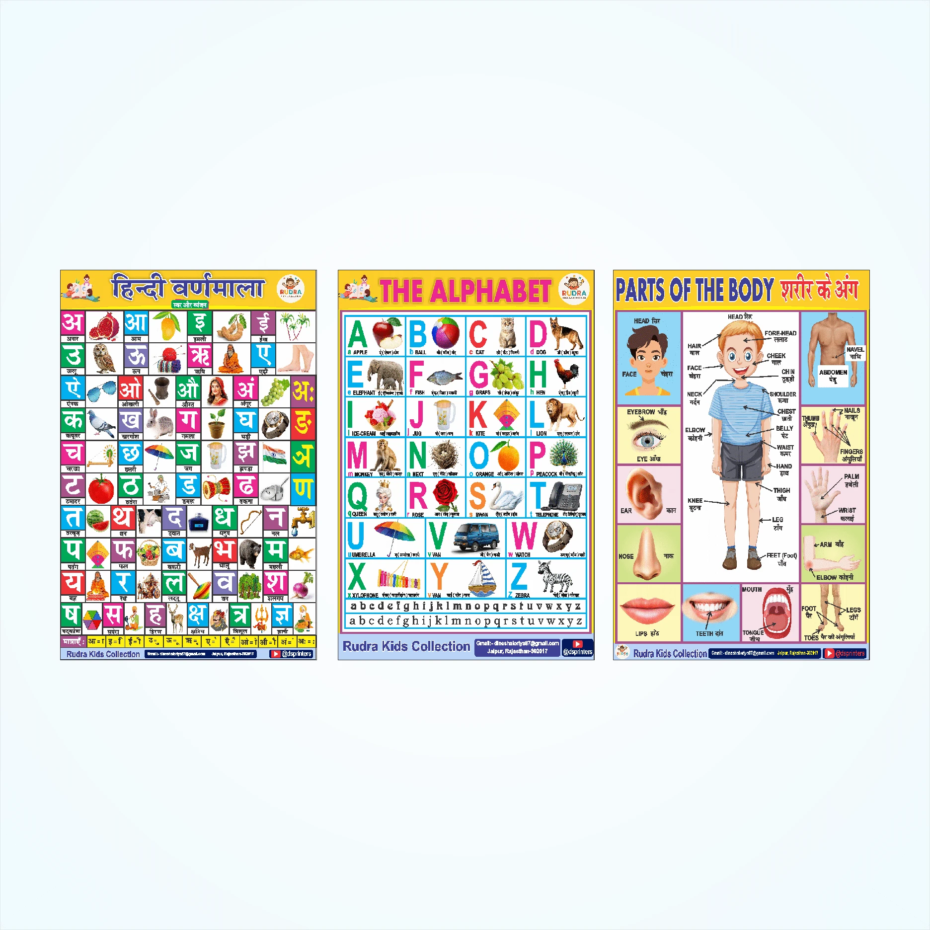 ABCD Chart | Easy Learning Educational Wall Stickers (Set of 3) - Hindi Varnamala, English Alphabets & Parts of the Body | 12x18 Inch Learning Posters for Nursery & Kids Room Vinyl (18 inch X 12 inch, Rolled)