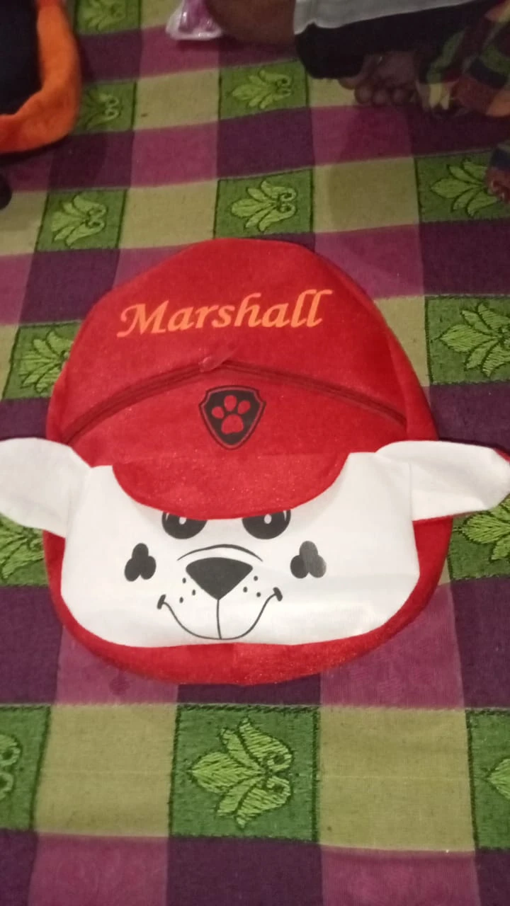 SCHOOL BAG FOR KIDS (MARSHAL)