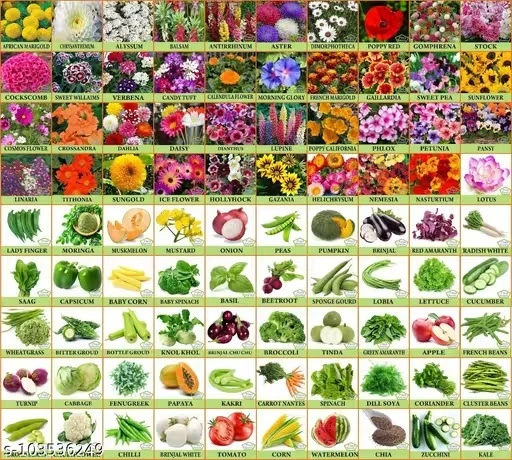 90 Varieties of Vegetables Seeds Flower seeds Combo