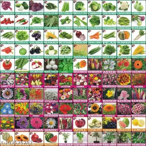 Vegetable Seeds Kitchen Garden Combo Pack