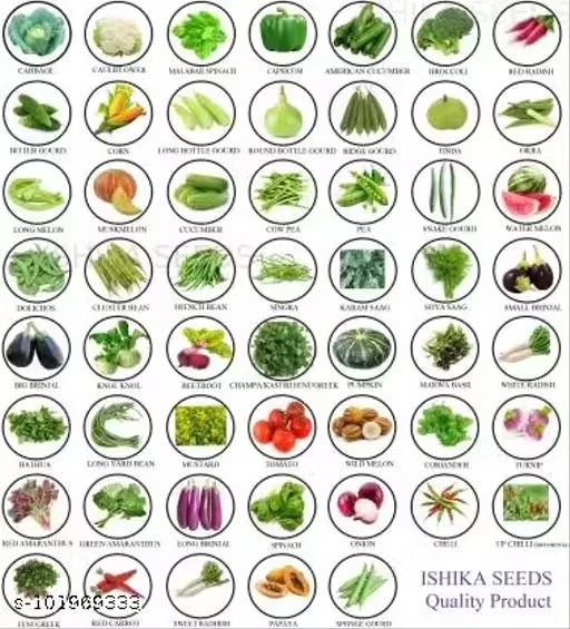 Vegetable Seeds Home Garden Combo Pack