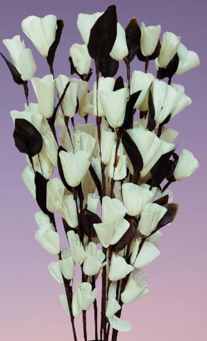 sola lily flower xxl  branch