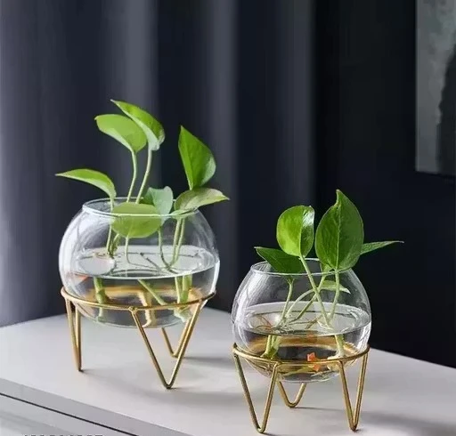 Glass Flower Vase for Home Decor | 12 Inch Cylindrical Clear Vase | Modern Table Centerpiece Vase for Living Room, Dining Table & Office