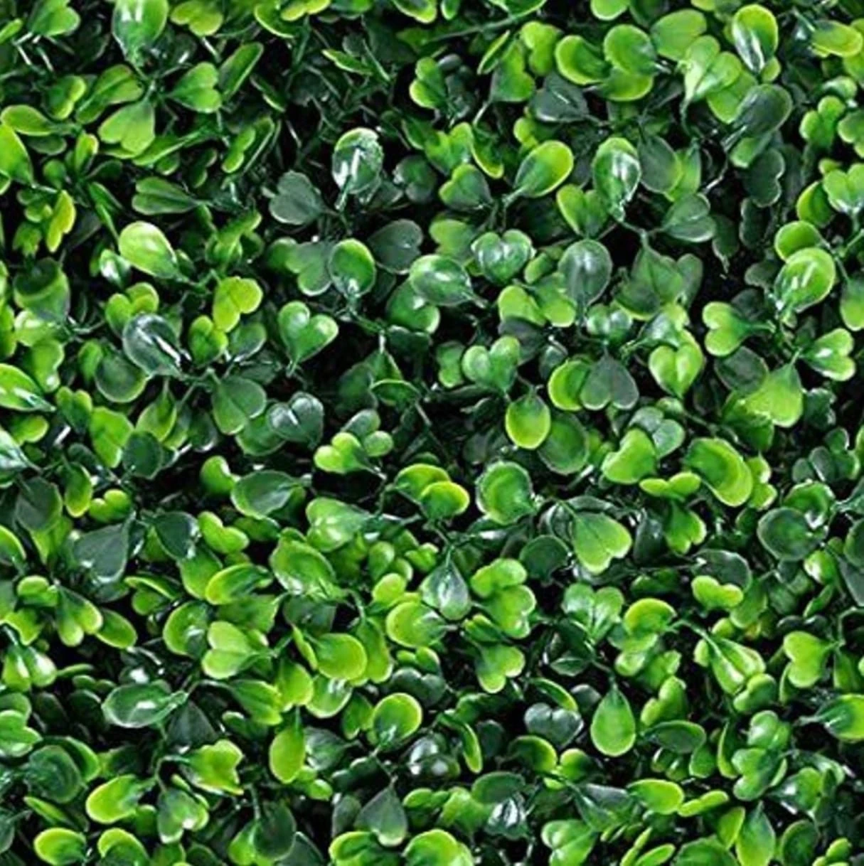 Artificial Grass Wall Panel | Decorative Green Boxwood Mat for Home, Office & Garden Wall Decor