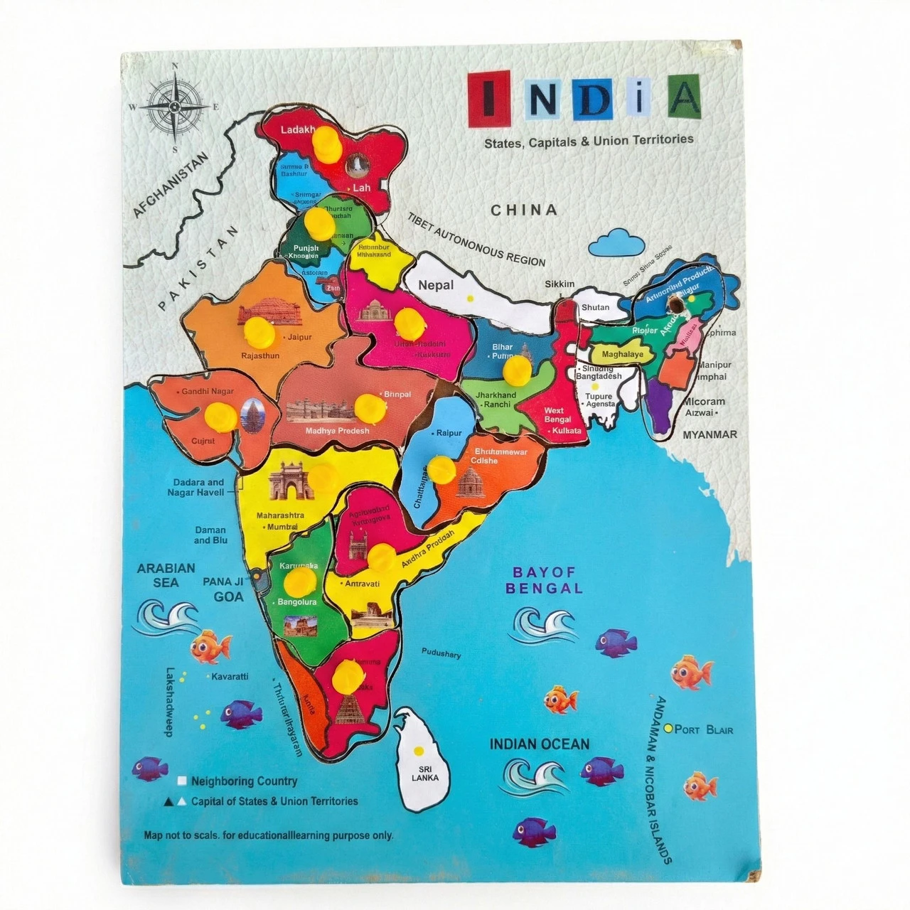 Alafi Wooden India Map Peg Puzzle for Kids - Educational State & Capital Jigsaw Toy (1 Pieces)