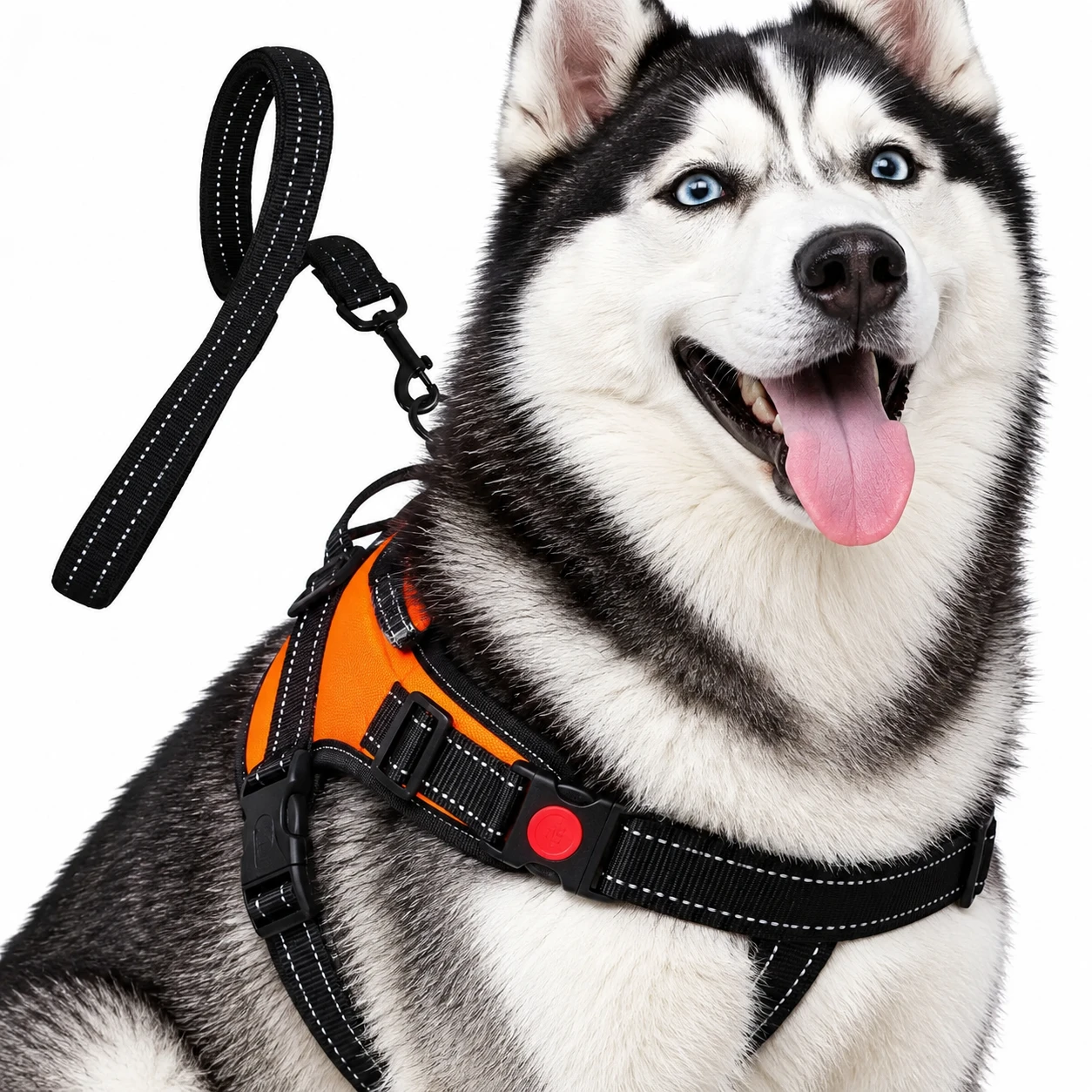 Cottoncat Dog Harness With Reflective Leash For All Size And Breed Dogs- No Pull, No Escape Chest Vest Harness Belt (Medium) Orange