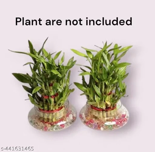 ArthaRupa Glass Bowl for Bamboo Plant, Money Plant, Flower Vase or Other Decoration Purpose (Pack of 2) Plants not included